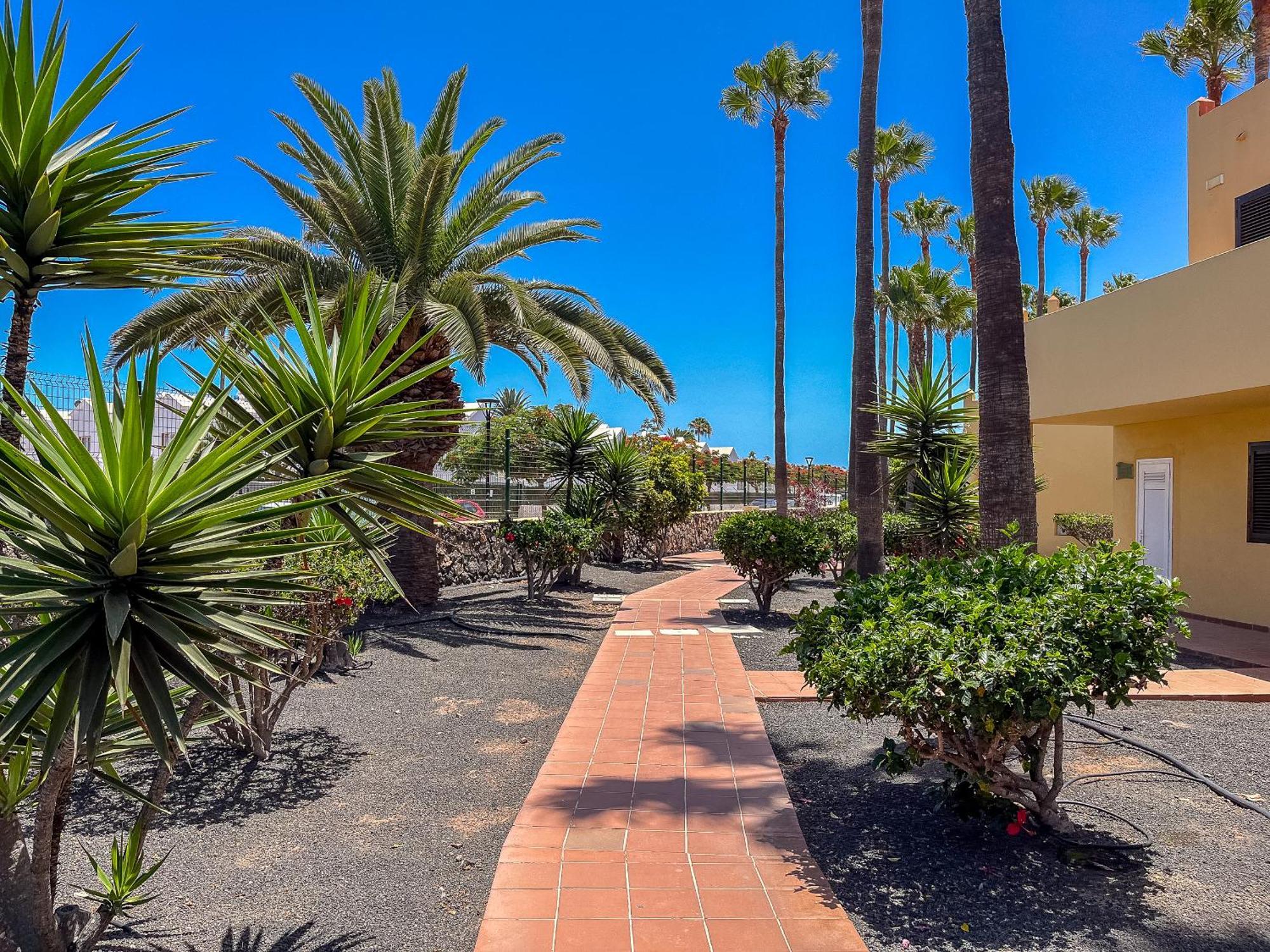 Apartamentos Oasis Royal Corralejo F314 Eksteriør bilde