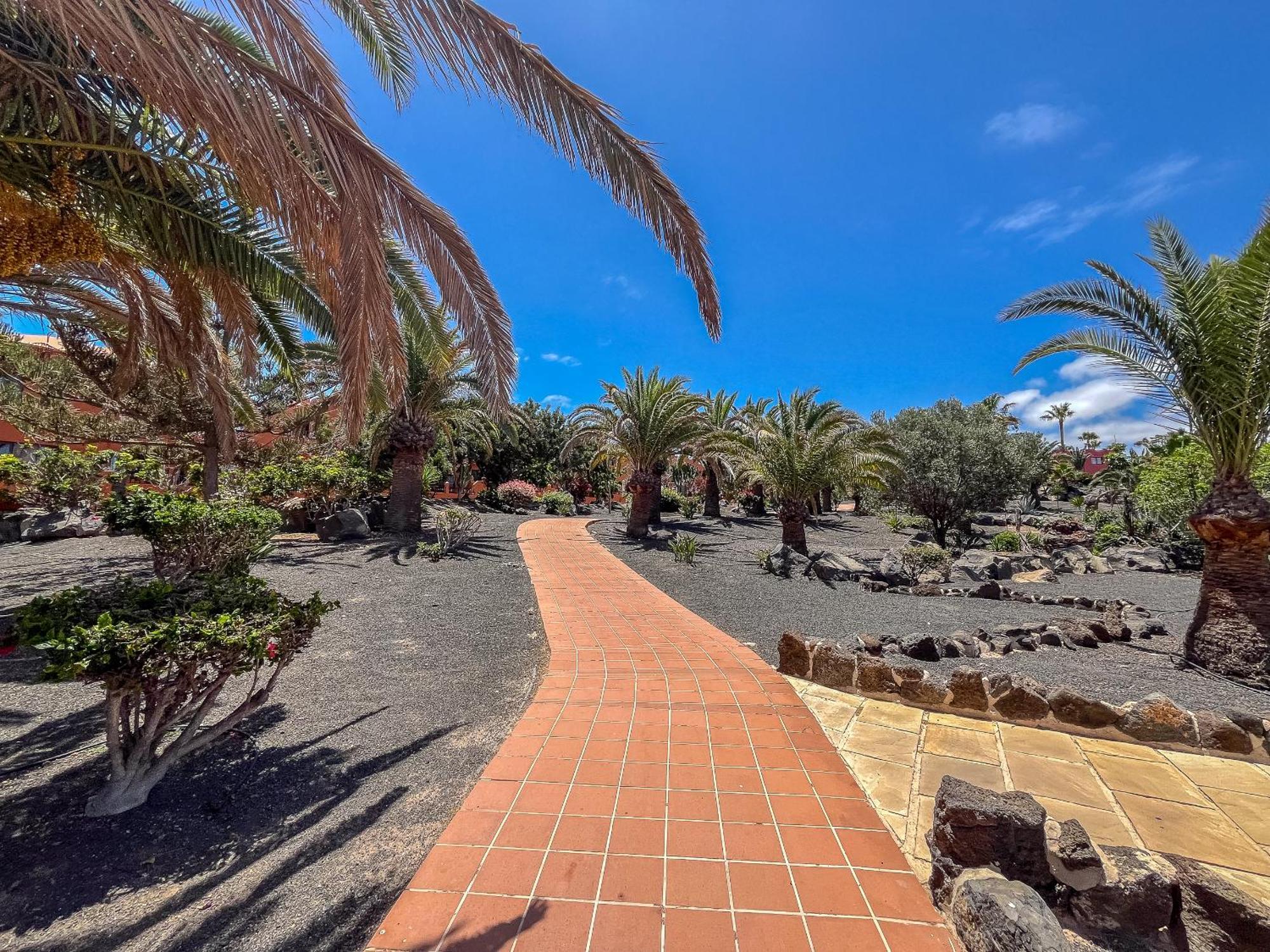 Apartamentos Oasis Royal Corralejo F314 Eksteriør bilde