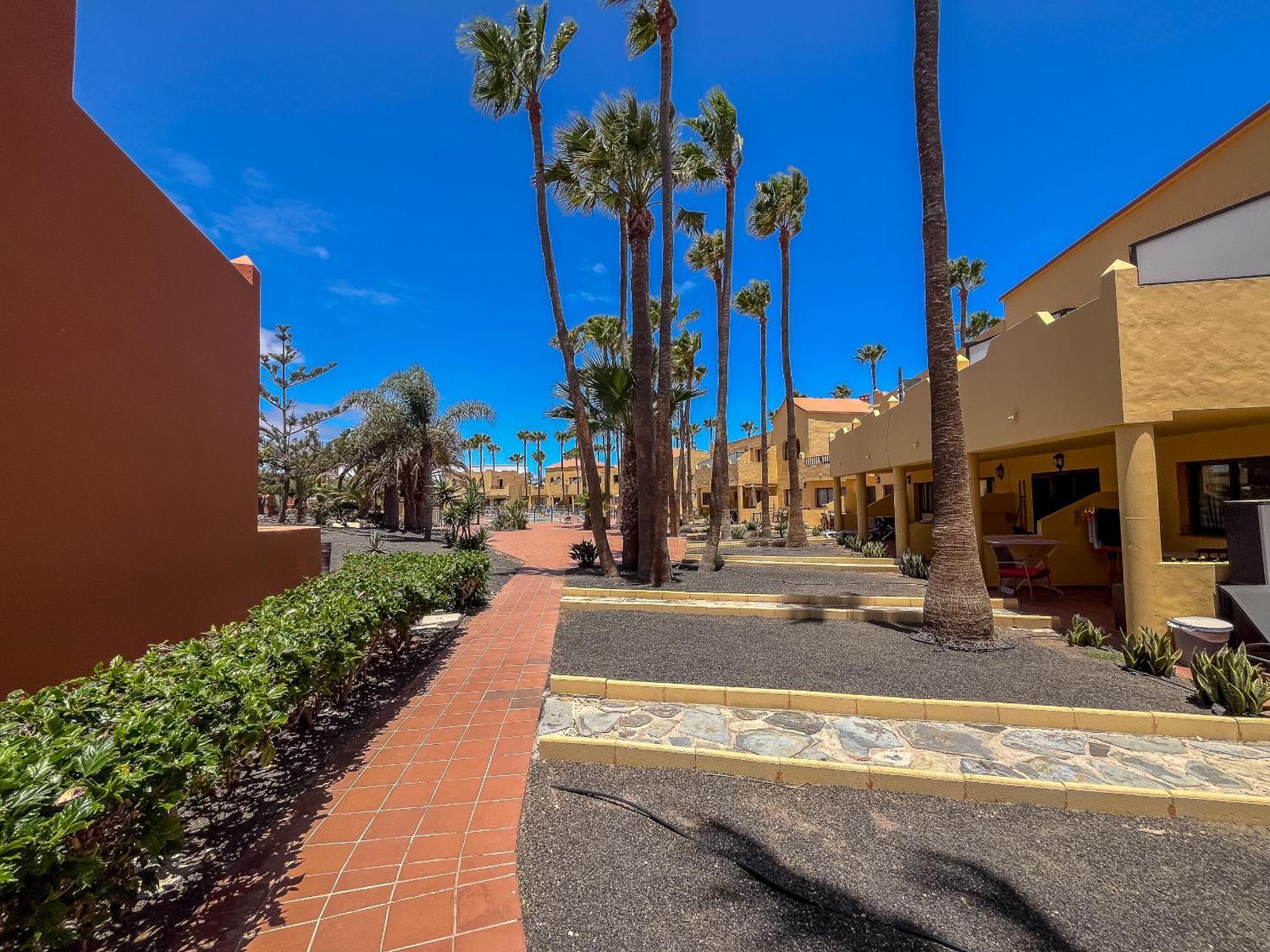 Apartamentos Oasis Royal Corralejo F314 Eksteriør bilde