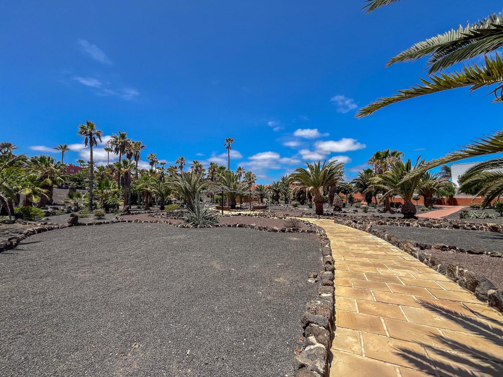 Apartamentos Oasis Royal Corralejo F314 Eksteriør bilde