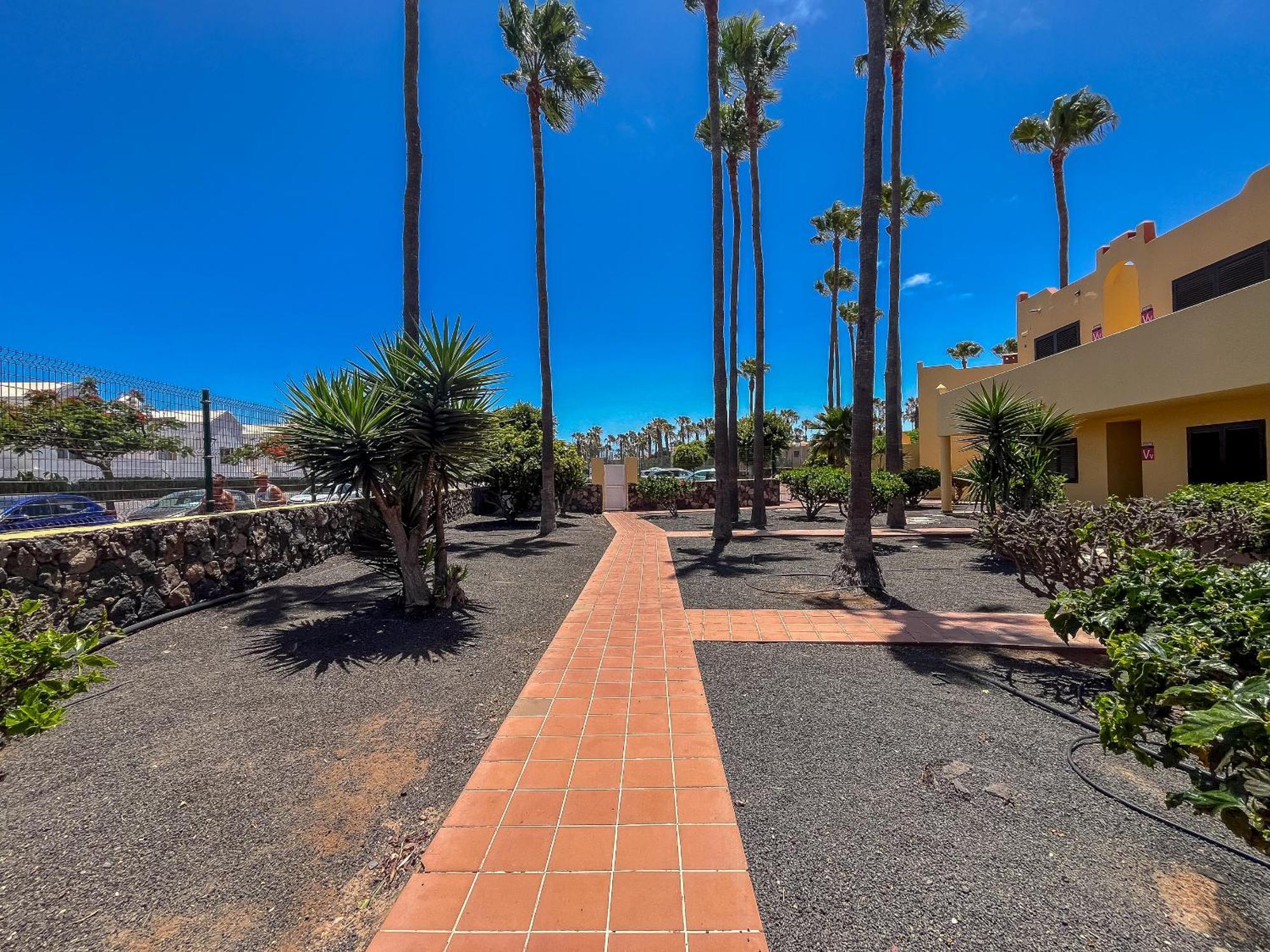 Apartamentos Oasis Royal Corralejo F314 Eksteriør bilde