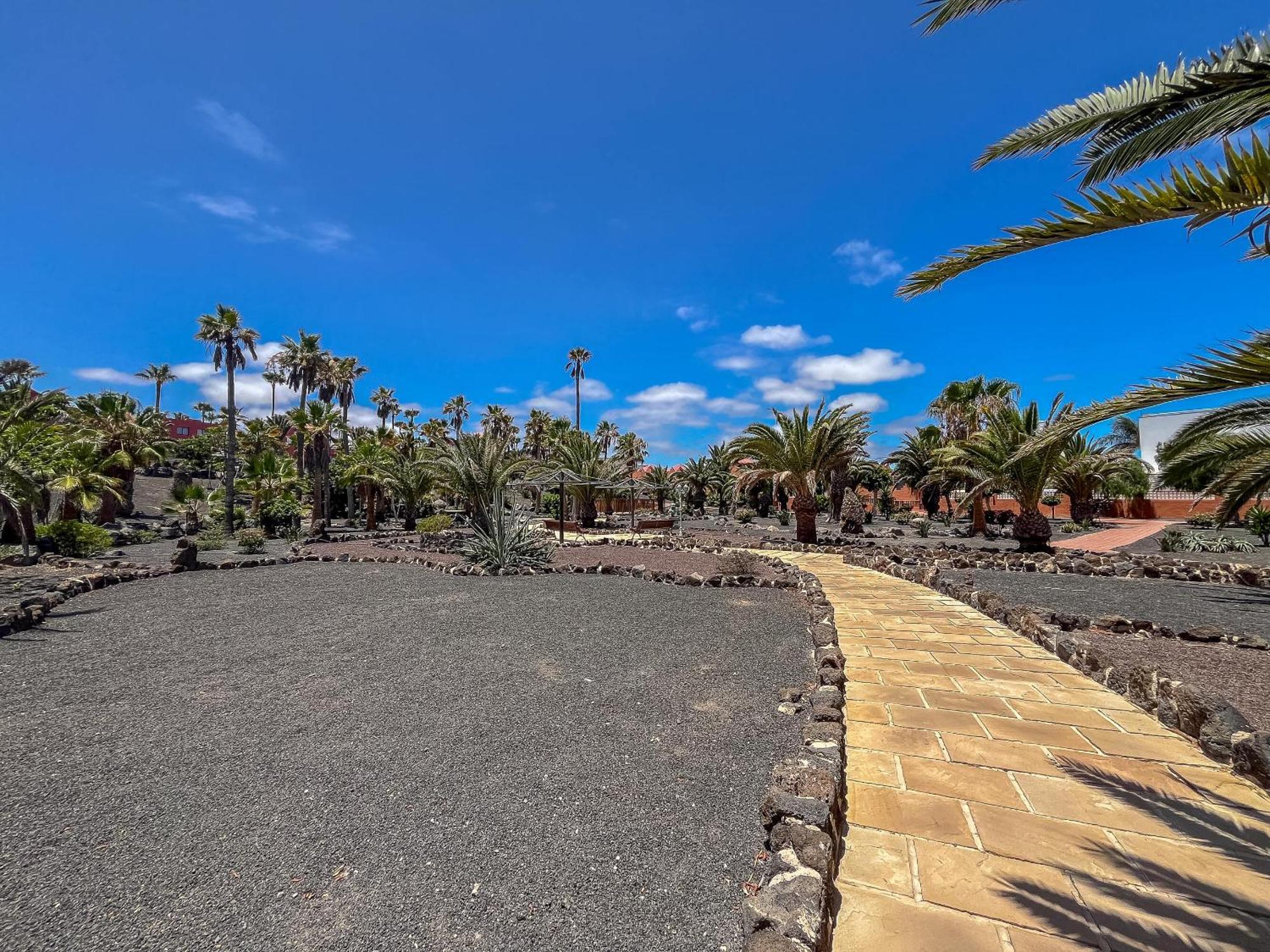 Apartamentos Oasis Royal Corralejo F314 Eksteriør bilde